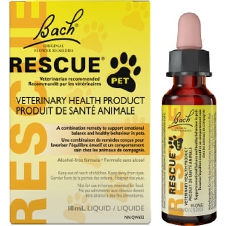 Using rescue 2025 remedy for dogs