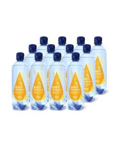 Eau de source gazéifiée arôme citron biologique