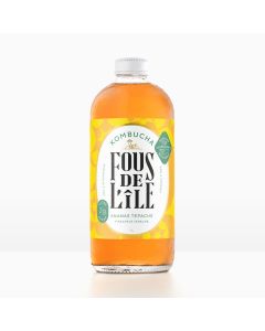 Pineapple Tepache Kombucha