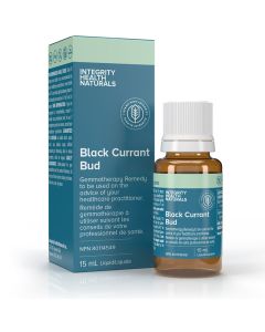 Black Currant Bud Ribes nigrum - Respiration