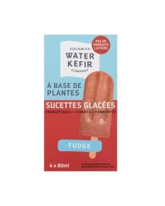 Sucette glacée fudge probiotique