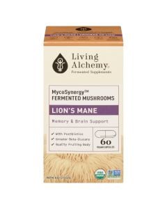 Lion's Mane - Brain Functions