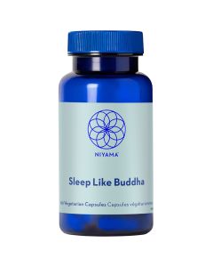 Sleep Like Buddha - Sommeil