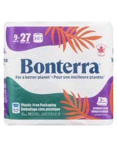 2-Ply Paper Towels 3 Mega Rolls