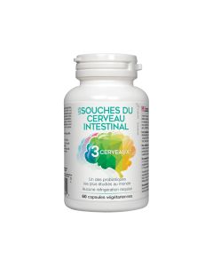 Les souches du cerveau intestinal - Probiotiques