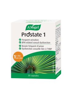 Prostate 1 Santé de l'homme