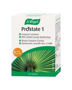 Prostate 1 Santé de l'homme