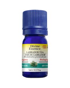 Organic Labrador Tea Essential Oil - Anti-Aging