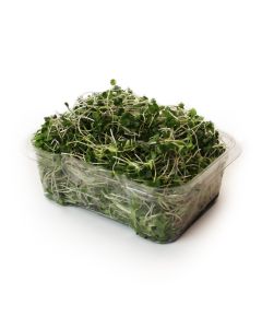 Micropousses biologiques - Mélange La bonne fortune