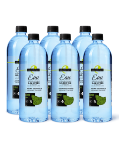  Organic Lime Flavored Carbonated Spring Water