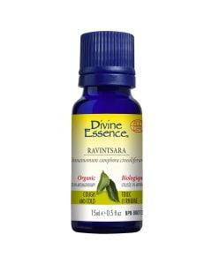 Ravintsara Cinnamomum Camphora Cineoliferum Organic Essential Oil - Coughs and Colds