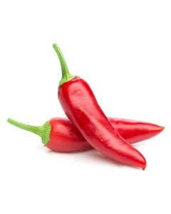 Piment Jalapeno biologique