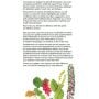 4 Seasons Detox - Detox thumbnail