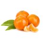 Organic Clementine thumbnail