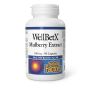 WellBetX Mulberry Extract 100 mg - Blood Sugar Level thumbnail