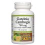 Garcinia Cambogia 750 mg - Healthy Weight Management thumbnail