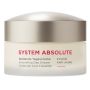 System absolute - Anti-aging day cream thumbnail