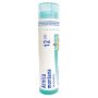 Remède homéopathique -  Arnica montana 12CH thumbnail