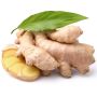 Gingembre blanc biologique thumbnail