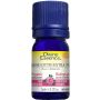 Essential Oil - Rose Otto 5% organic (Rosa x damascena) thumbnail
