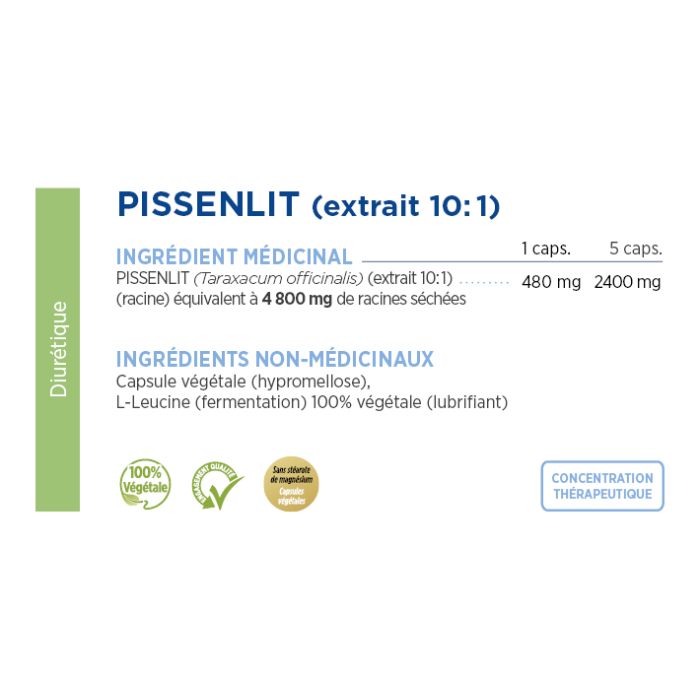 Dandelion Root Extract 10:1 480 mg - Diuretic