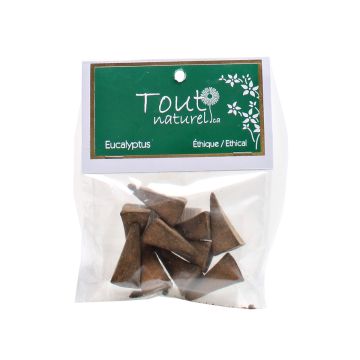 Encens - Eucalyptus en cônes