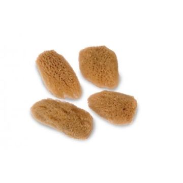 Facial Sea Sponge