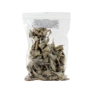 White Sage
