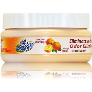 Éliminateur d'odeurs - Orange