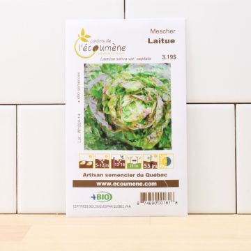 Organic lettuces - Mescher lettuce