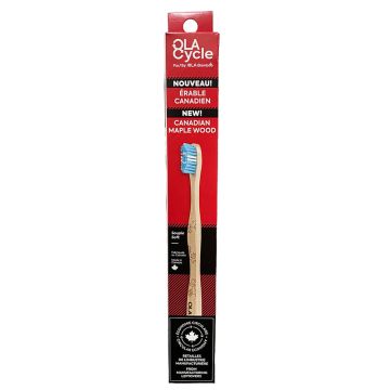 Brosse à dent - Érable canadien