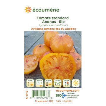 Organic seeds - Standard pineapple tomato