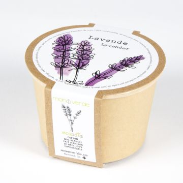 Minipot - Lavande pot compostable