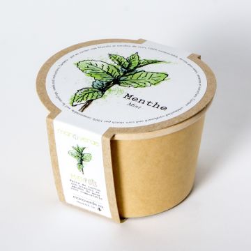 Minipot - Menthe pot compostable