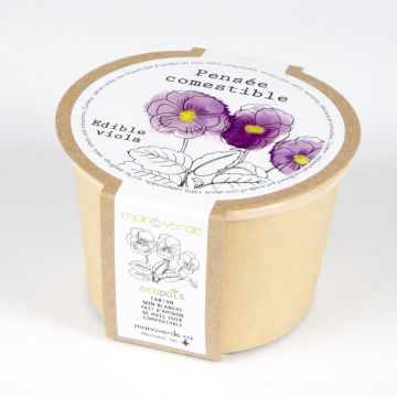 Minipot - Pensée comestible pot compostable