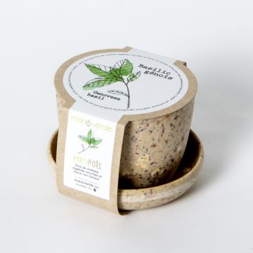 Minipot - Basilic génois pot fibres café