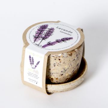 Minipot - Lavande pot fibres café