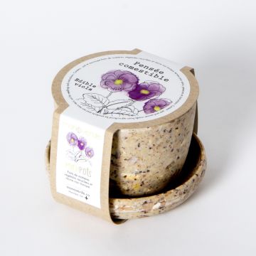 Minipot - Pensée comestible pot fibres café