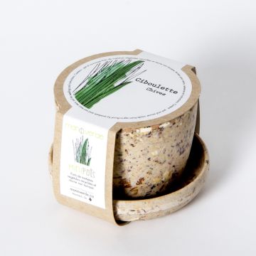 Minipot - Ciboulette pot fibres café