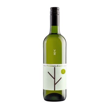 Acer blanc sec - Prémices d'avril