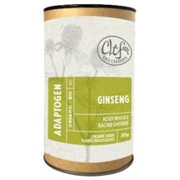 Racine entière de ginseng - Mémoire