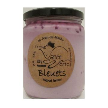Blueberry Farmhouse Yogurt