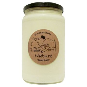 Plain Farmhouse Yogurt