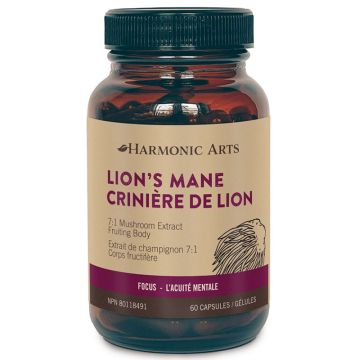 Crinière de lion - Concentration