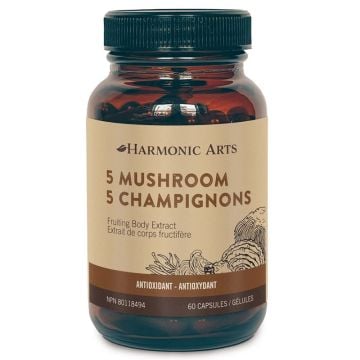 5 champignons - Antioxydant