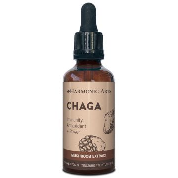 Teinture de champignon Chaga - Immunité