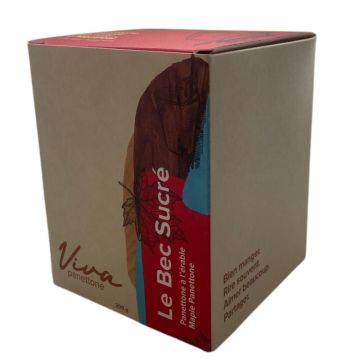 Panettone le bec sucré