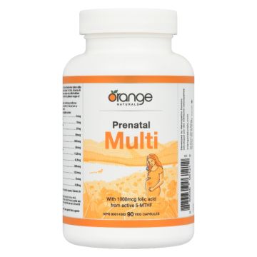Prenatal Multi - Pregnancy
