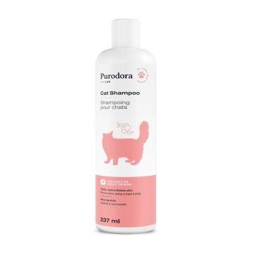 Shampoing pour chats