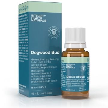 Dogwood Bud - Sang